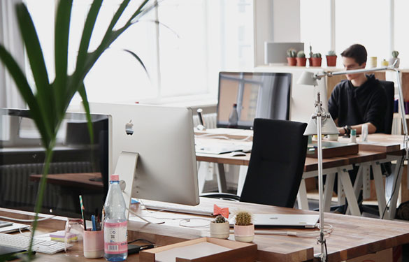 home image 01 free img